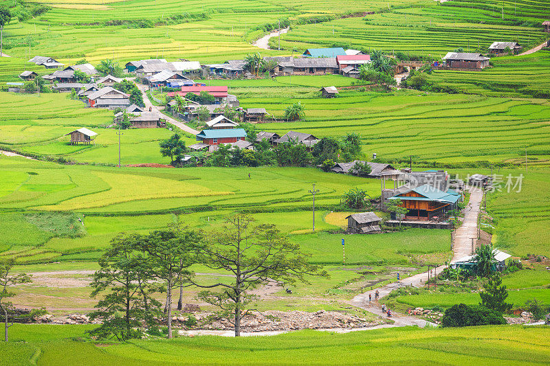 美丽的风景，绿色的稻田准备在越南西北部的梯田日落山在木仓寨，Yen Bai，越南